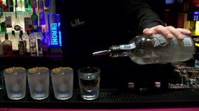 Polish Vodka Tasting, Wroclaw