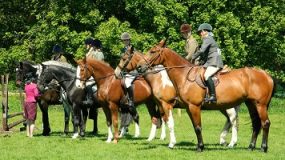 Horse Riding + Polish Dinner, Gdansk